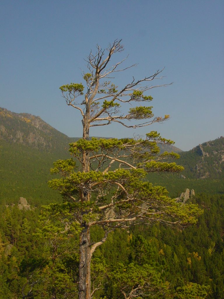 baikal.jpg