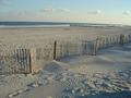 strand_und_zaun.jpg