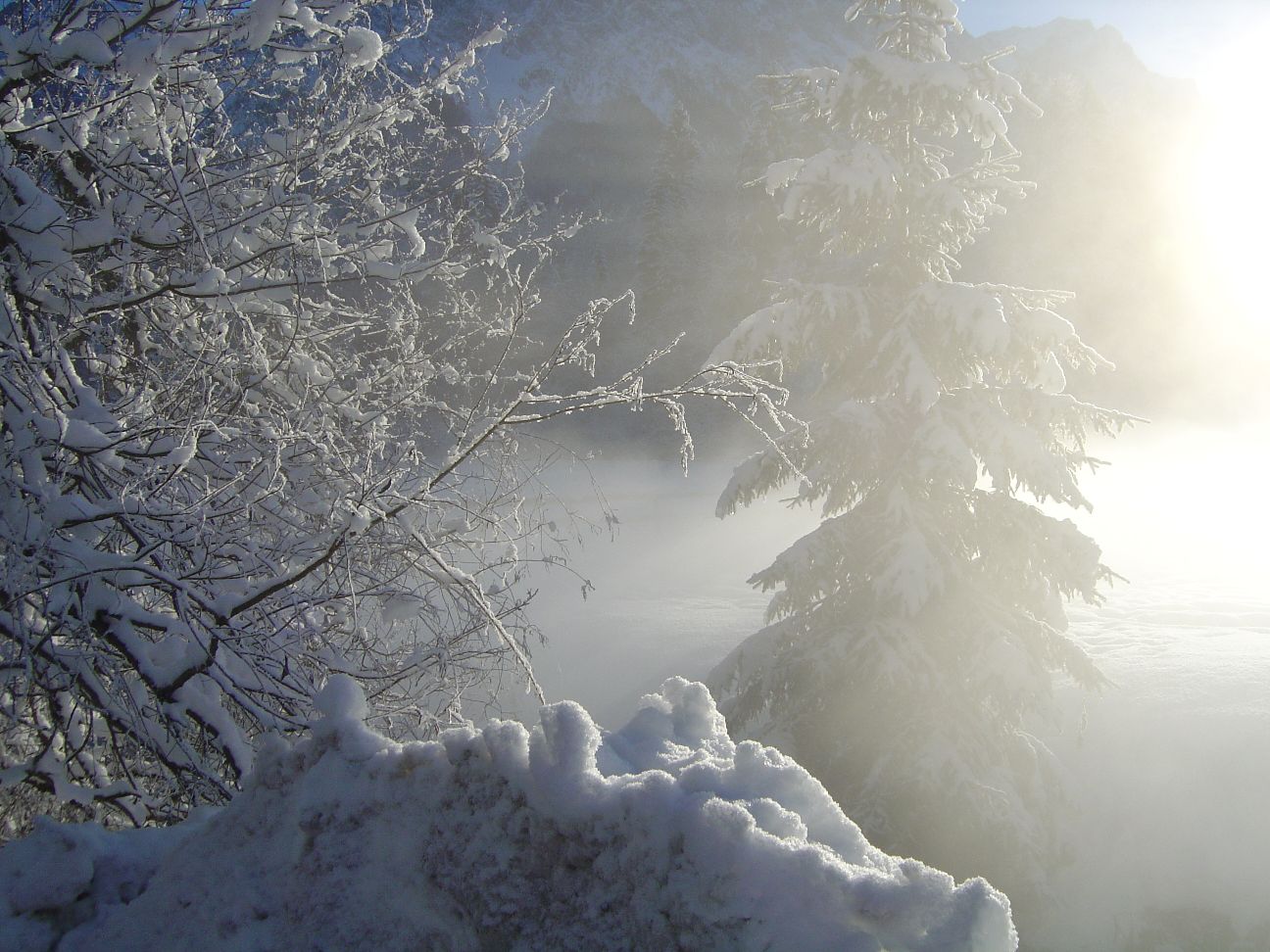 winter_sunburst.jpg